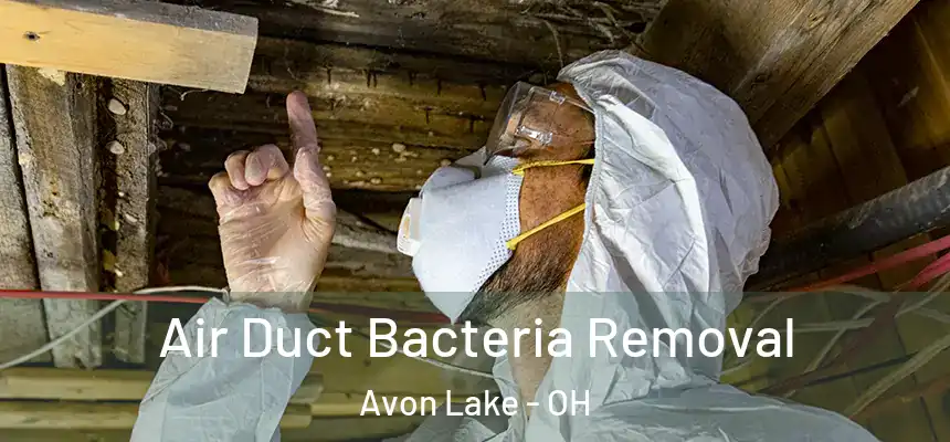  Air Duct Bacteria Removal Avon Lake - OH