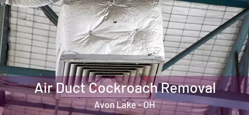 Air Duct Cockroach Removal Avon Lake - OH