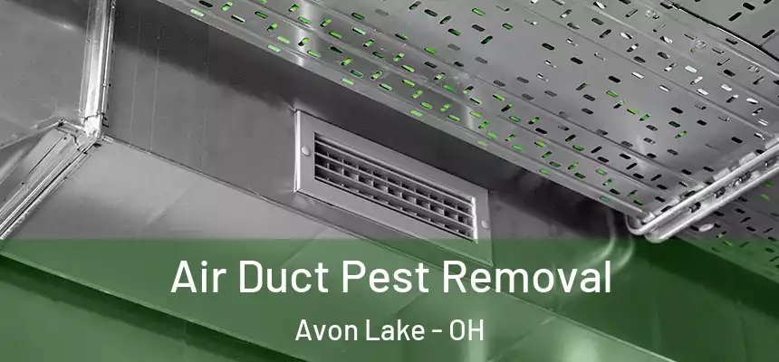 Air Duct Pest Removal Avon Lake - OH