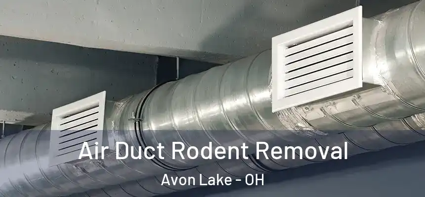 Air Duct Rodent Removal Avon Lake - OH