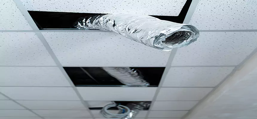 Affordable HVAC Sanitizing After Pest Removal in Avon Lake