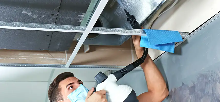 Our Air Duct Rodent Removal Services in Avon Lake, OH