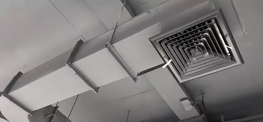 Restorative Allergy Relief Vent Cleaning – Coil, Blower & Housing Detail in Avon Lake