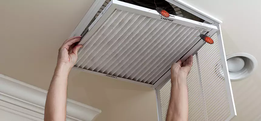 Our Insect Removal from Air Ducts Services in Avon Lake, OH