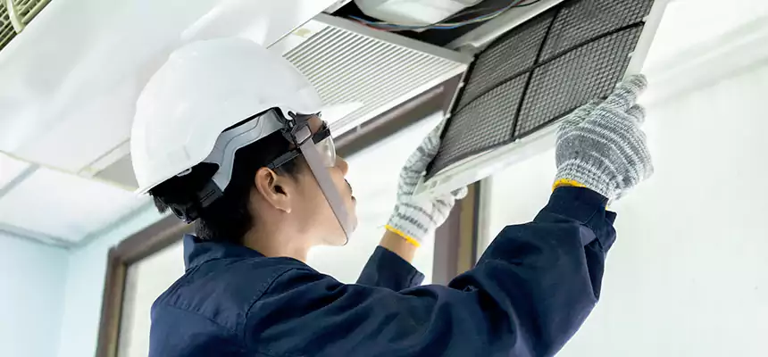 Our Mold & Mildew Removal from Air Ducts Services in Avon Lake, OH