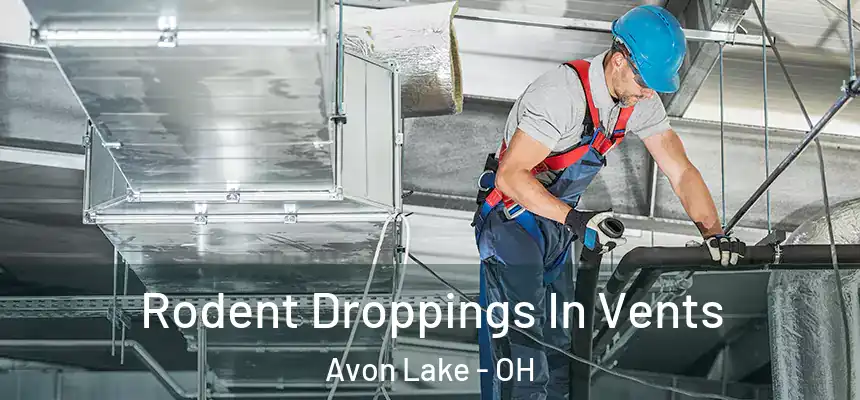  Rodent Droppings In Vents Avon Lake - OH