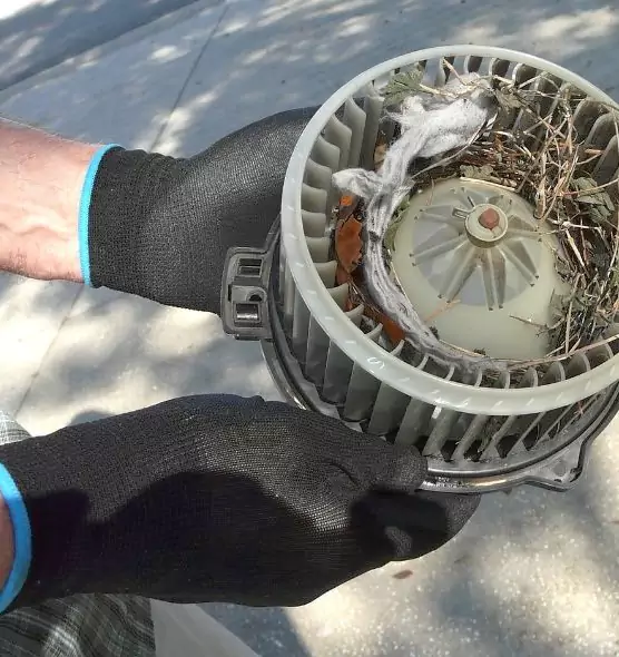 About Air Duct Mice Removal in Avon Lake, OH