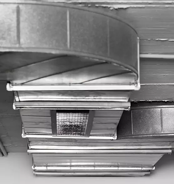 Professional Air Duct Pest Removal in Avon Lake, OH