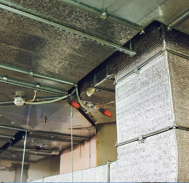 Why Homeowners & Businesses Trust Us in Avon Lake, OH?