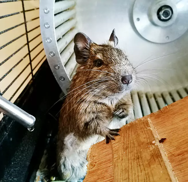 Why Homeowners & Businesses Trust Us Avon Lake, OH